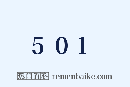 501是什么意思的图片